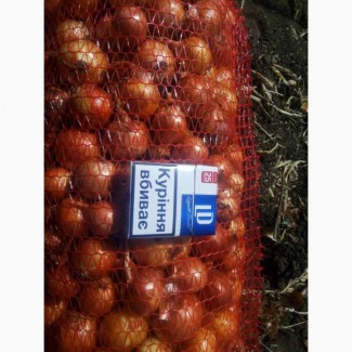 Продаж цибулі ріпчастої, Житомирська область