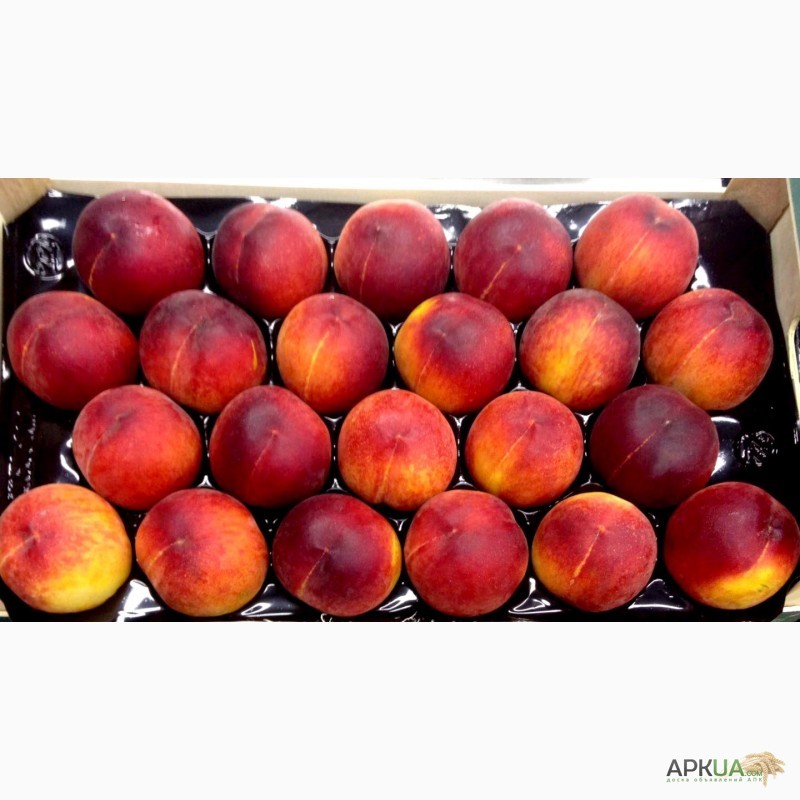 Фото 12. Продаем персики из Испании