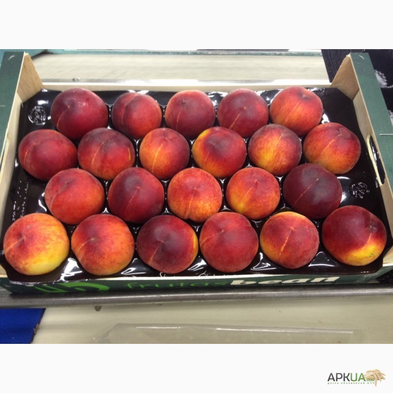 Фото 14. Продаем персики из Испании