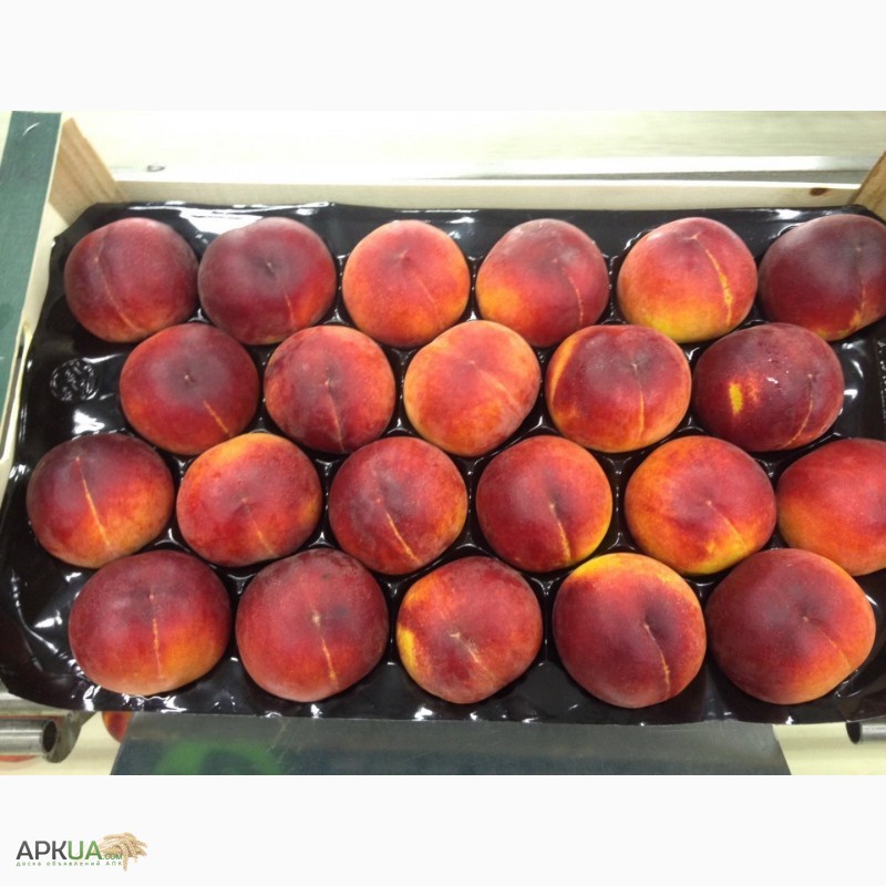 Фото 16. Продаем персики из Испании