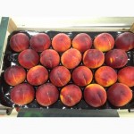 Продаем персики из Испании