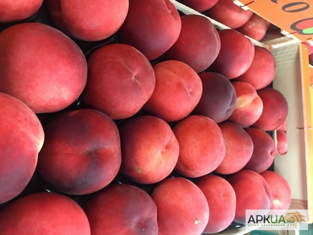 Фото 7. Продаем персики из Испании