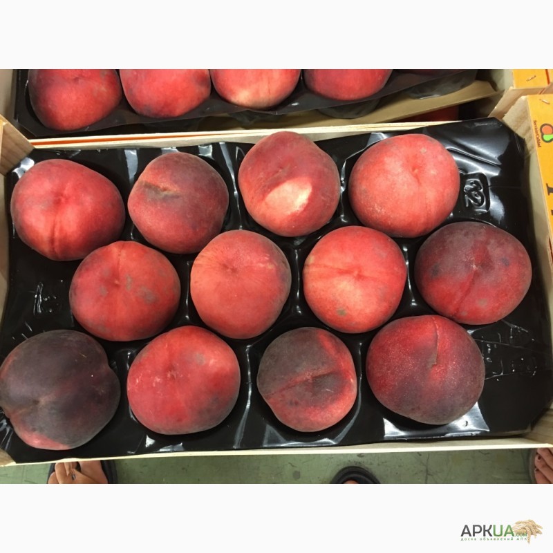 Фото 9. Продаем персики из Испании