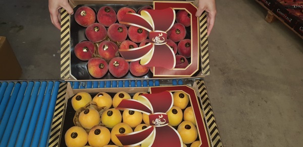Фото 2. Продаем персики из Испании