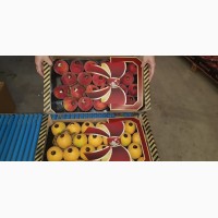 Продаем персики из Испании