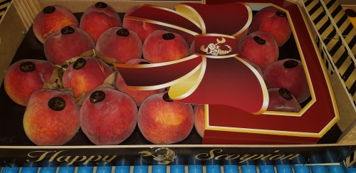 Фото 4. Продаем персики из Испании