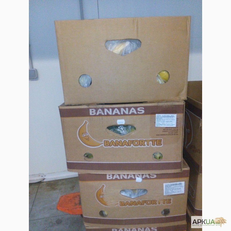 Фото 4. Продаем бананы оптом от поставщика. Лучшие цены, отличное качество