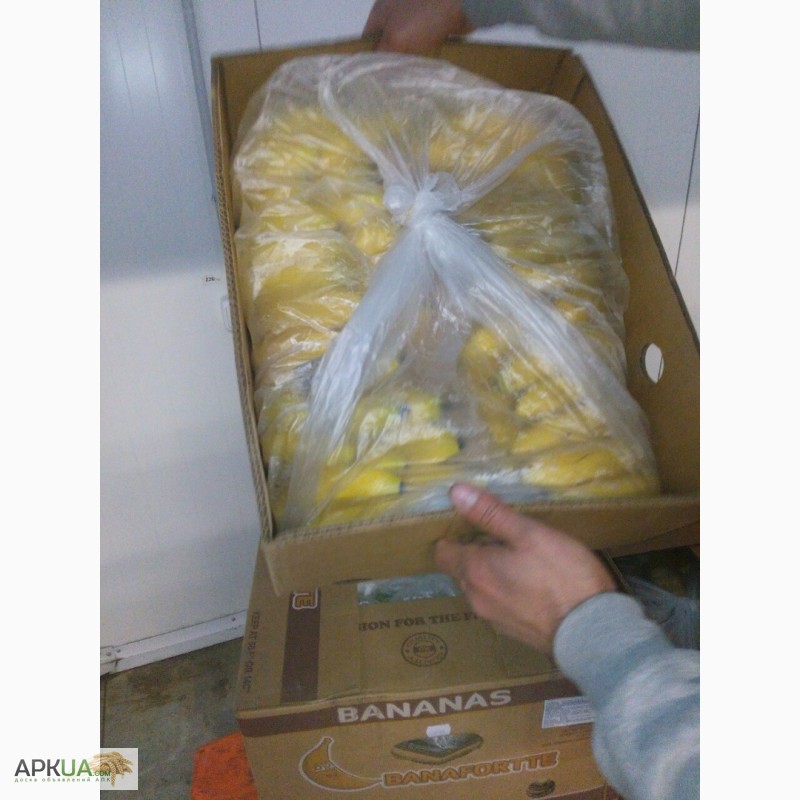 Фото 6. Продаем бананы оптом от поставщика. Лучшие цены, отличное качество