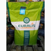 Семена подсолнечника (евралис) ЕС Белла импорт, распродажа 2016 года урожая