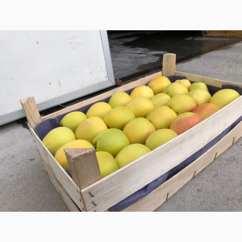 Фото 4. Яблука з холодильника в тарі