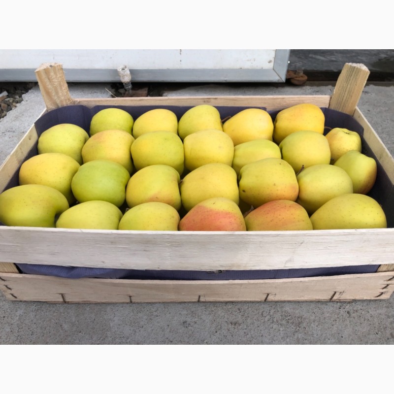 Фото 2. Яблука з холодильника в тарі