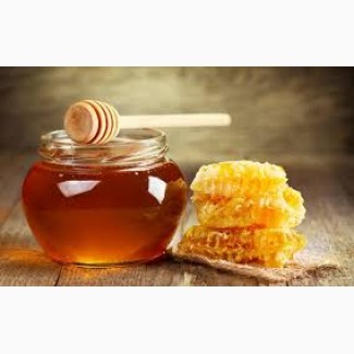 Куплю мед в Тернопільскій та Хмельницькій області