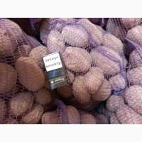 Продам товарный картофель: Санибель и Гранада