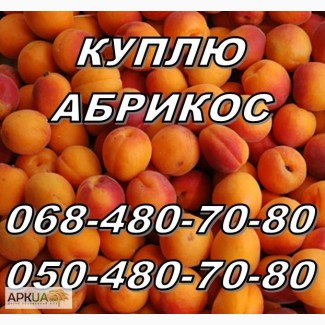 Куплю абрикос оптом, (не порченную) на заморозку. Харьков и соседние области