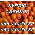 Куплю абрикос оптом, (не порченную) на заморозку. Харьков и соседние области