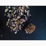 Продам кедровий горіх 2016 Pinus Cembra