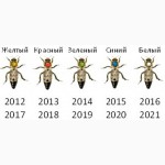 Матка КАРПАТКА, КАРНІКА 2024 ПЛІДНІ БДЖОЛОМАТКИ ( Пчеломатки, бджолині матки )