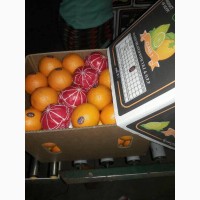 Продаем апельсины Navel (Египет)