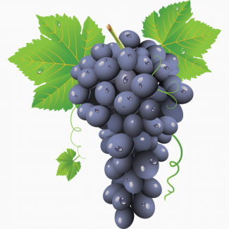 Продам винный виноград (маковей)