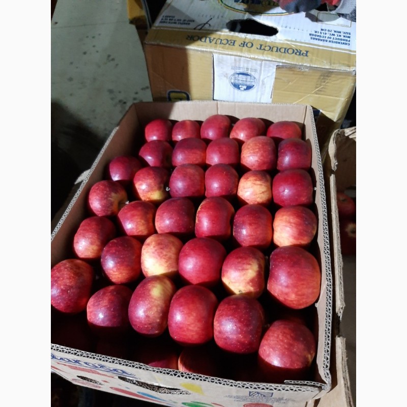 Фото 2. Продам яблука ризных сортив з холодыльныка газовани в наявности багато сортив