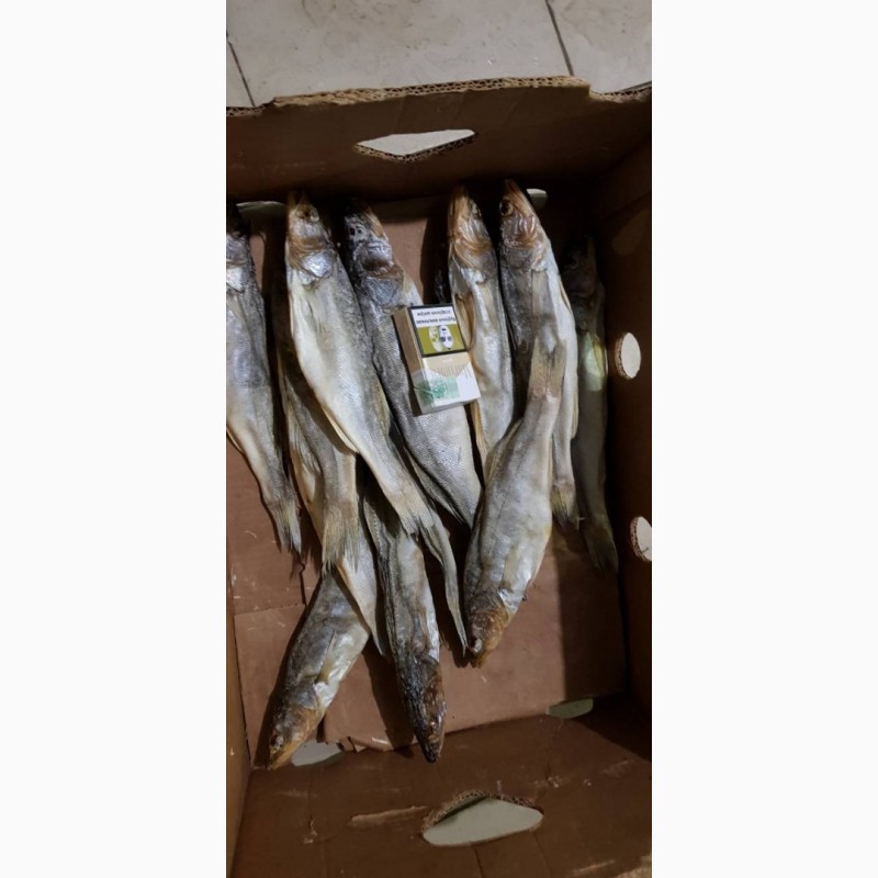 Фото 5. Продам вяленую рыбу в ассортименте. Тарань, Лещ, мелкий лещ, густера, судак, окунь