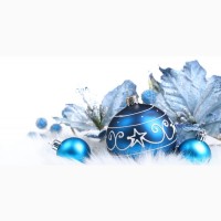 Закарпатье Новый год из Киева, Карпаты из Киева Рождество, туры, отдых