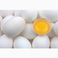 Продам яйцо куринное от производителя