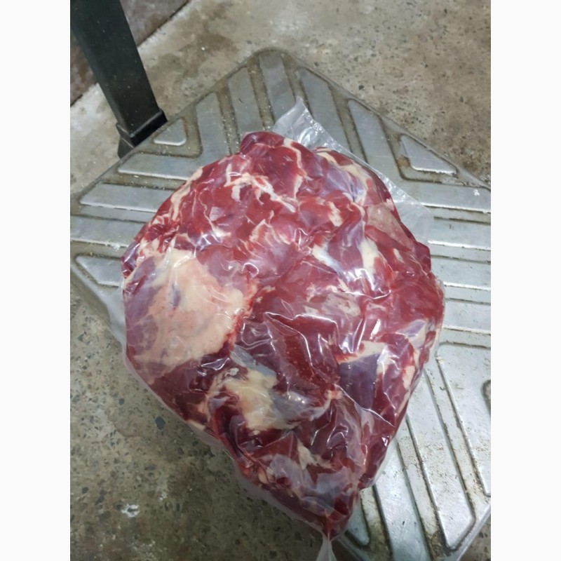 Фото 4. Мясо говядина оптом