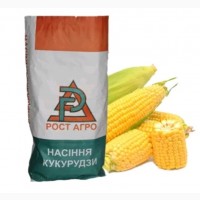 Семена кукурузы ДБ Хотин ФАО 280 Рост Агро