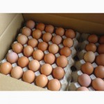 Продажа куриного яйца. Куриное яйцо категории С0 С1 С2