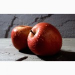 Завод купує яблука в необмеженій кількості