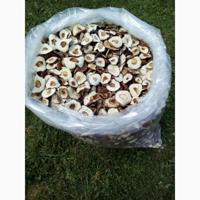 Фото 3. Продам сухие и маренованые грибы