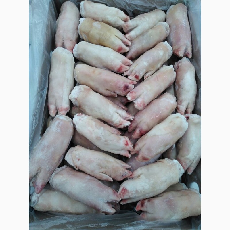 Фото 3. ООО « Амтек Трейд» предлагает замороженные свиные ноги