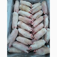 ООО « Амтек Трейд» предлагает замороженные свиные ноги