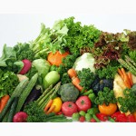 Продам для крупных оптовиков семена овощей и зелени от производителя (цена договорная)
