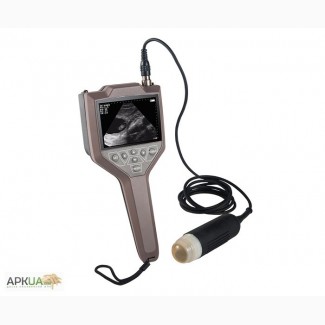 Ветеринарный УЗИ сканер для свиноводства 3.5МГц механический датчик BAICHENG BCV10