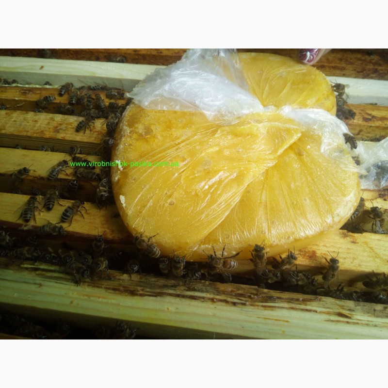 Фото 2. Канди для пчел. Від виробника