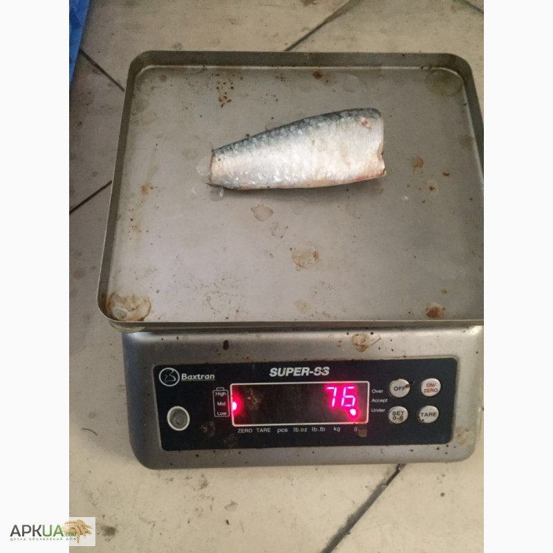 Фото 4. Прямые поставки свежемороженой рыбы из Марокко