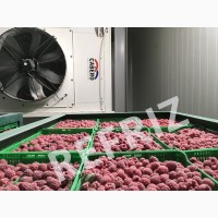 Шокова заморозка ягід продаю зі склада обладнання 400 кг/година