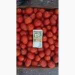 Продам помидоры с поля оптом