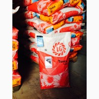 Семена подсолнечника Limagrain TUNCA / Тунка (США), распродажа 2016 года урожая