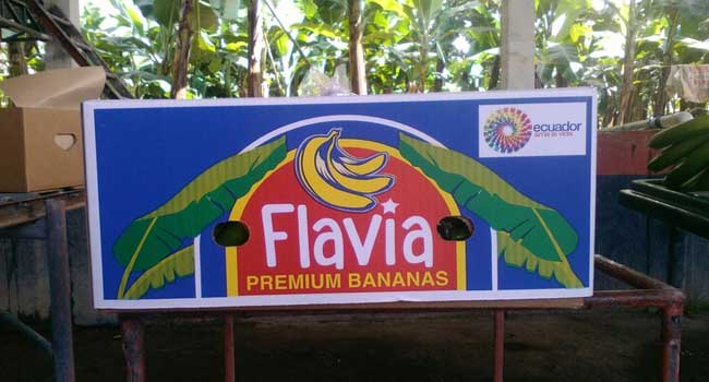 Фото 3. Экспорт бананов из Эквадора