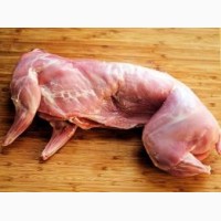 Продам мясо молодого кролика, тушка 1, 5-2 кг (вік 90 днів)