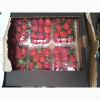 Продам - cвежая клубника - 250 гр