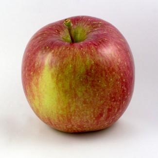 СРОЧНО продам яблоко Фуджи, 70 км от Одессы
