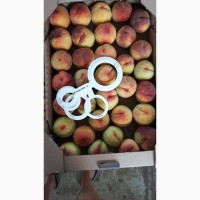 Продам персик, сорт :Посол Мира