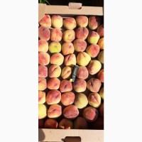 Продам персик, сорт :Посол Мира