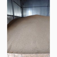 Продам зерно пшениці
