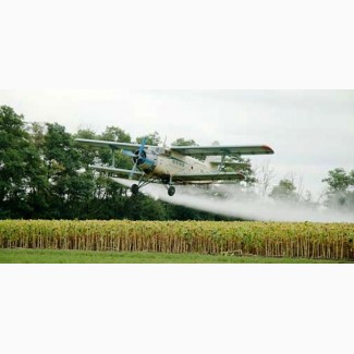 Десикация кукурузы и подсолнечника самолетом Ан-2