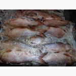 Замороженная речная рыба, плотва оптом. Возможен экспорт речной рыбы